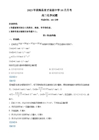 湖北省黄冈市黄梅国际育才高级中学2023-2024学年高二上学期10月月考化学试题（解析版）