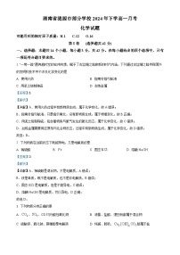 湖南省娄底市涟源市部分学校2024-2025学年高一上学期9月月考化学试题（解析版）