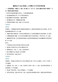 湖北省襄阳市第五中学2024-2025学年高三上学期9月月考化学试题（解析版）