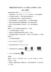 [化学]湖南省名校联考联合体2025届高三上学期第一次联考(暨入学检测)(解析版)