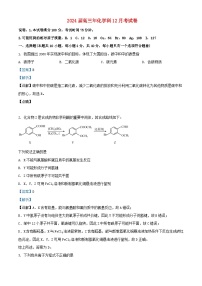 福建省厦门市2023_2024上学期高三化学上学期12月考试题含解析