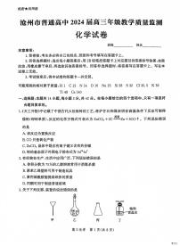 河北省沧州市2023_2024学年高三化学上学期12月月考试题pdf含解析