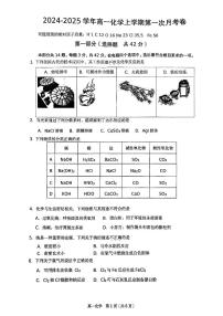 北京十中2024-2025学年高一上学期10月第一次月考化学试题