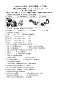 北京十中2024-2025学年高一上学期10月第一次月考化学试题(无答案)