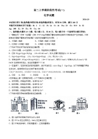 山东省泰安市宁阳县第一中学2024-2025学年高二上学期10月月考化学试题