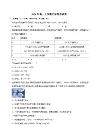 湖南省岳阳市临湘市2024-2025学年高一上学期9月月考化学试题（Word版附答案）