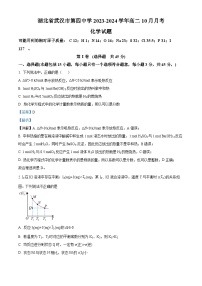 湖北省武汉市第四中学2023-2024学年高二上学期10月月考化学试题（Word版附解析）