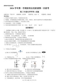 浙南联盟2025届高三上学期10月月考化学试题（含答案）