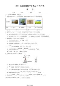 2024北京陈经纶中学高三10月月考化学试题