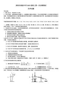 [化学]广东省深圳市高级中学2024～2025学年高三上学期第一次诊断测试月考试题(有答案)