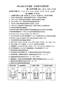 山东省青岛第六十七中学2024-2025学年高二上学期10月月考 化学试题