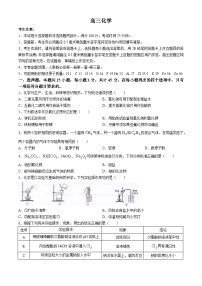 河南省九师联盟2025届高三上学期10月质量检测化学试题