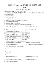 湖南省长沙市第一中学2024-2025学年高一上学期10月月考化学试题(无答案)