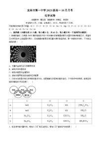 湖北省宜昌市第一中学2024-2025学年高一上学期10月月考 化学试卷(无答案)