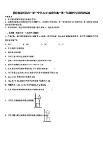 北京一零一中学2024-2025学年高一上学期期中达标检测化学试题