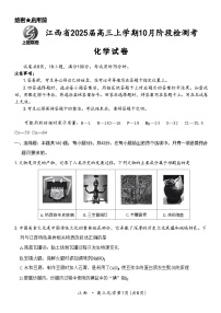 江西省稳派智慧上进联盟2025届高三上学期10月联考化学试题（Word版附解析）