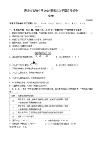 江苏省南通市海安市实验中学2024-2025学年高三上学期10月月考化学试题(无答案)