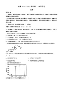 安徽省多校2024-2025学年高二上学期10月联考 化学试题