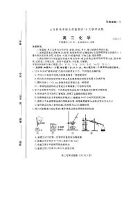 山东省新高考联合质量测评2024-2025学年高三上学期10月联考+化学试题