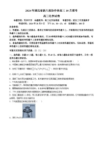 湖北省新八校协作体2025届高三上学期10月一模联考化学试题（Word版附解析）