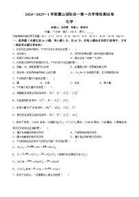 湖南省长沙市麓山国际实验学校2024-2025学年高一上学期第一次月考化学试题（Word版附答案）