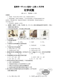 四川省宜宾市第一中学2024-2025学年高一上学期10月月考化学试题（Word版附答案）