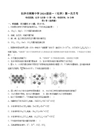 湖南省长沙市周南中学2024-2025学年高一上学期10月月考 化学试题