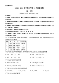 河南省新乡市第一中学2024-2025学年高一上学期10月质量检测 化学试题