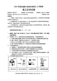 湖北省新八校协作体2024-2025学年高三上学期10月联考化学试题（PDF版附解析）