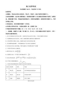 湖北百校大联考2025届高三上学期10月考试化学试题+答案