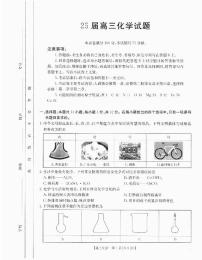 2024-2025学年四川省部分学校高三上学期10月联考化学试题