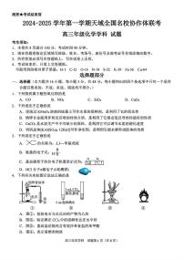 2024-2025学年第一学期天域全国名校协作体高三联考试卷+化学（含答案）