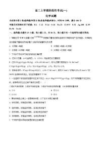 山东省泰安市宁阳县第一中学2024-2025学年高二上学期10月月考化学试题（Word附答案）