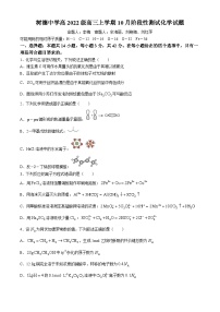 四川省成都市树德中学2024-2025学年高三上学期10月月考化学试题