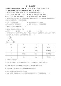 [化学]湖南省长沙市雅礼中学2024～2025学年高一上学期10月月考试题(有答案)