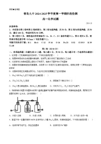 山东省青岛第九中学2024-2025学年高一上学期第一次月考 化学试卷