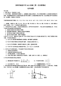 广东省深圳市高级中学2024-2025学年高三上学期10月第一次诊断测试化学试题（Word版附答案）