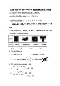 陕西省西安市航天城第二中学2024-2025学年高二上学期10月质量检测化学试题