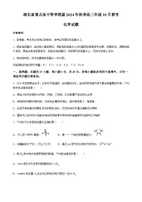 湖北省重点高中智学联盟2024-2025学年高三上学期10月联考化学试卷（含答案）