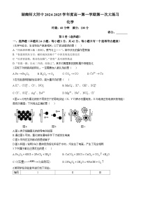 湖南师范大学附属中学2024-2025学年高一上学期第一次月考化学试卷（含答案）