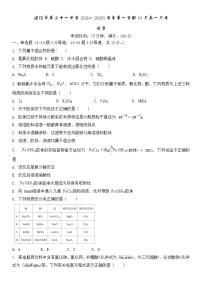 广东省湛江市第二十一中学2024-2025学年高一上学期10月月考 化学试题