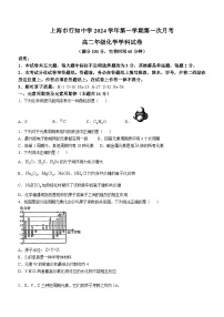 上海市行知中学2024-2025学年高二上学期第一次月考 化学试卷 (无答案)