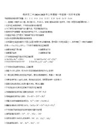 湖南省株洲市第二中学2024-2025学年高一上学期10月月考化学试题