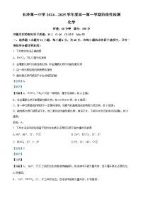 湖南省长沙市第一中学2024-2025学年高一上学期10月月考化学试题（Word版附解析）