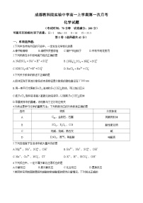 四川省成都教科院实验中学校2024-2025学年高一上学期第一次月考化学试题(无答案)