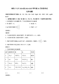 山东省青岛第十七中学2024-2025学年高一上学期第一次月考 化学试题（解析版）