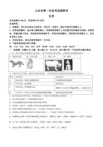 [化学]2025届山东省高三上学期10月第一次备考监测联考试题(有答案)