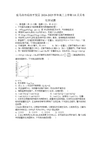 河南省驻马店市经济开发区2024-2025学年高二上学期10月月考 化学试题（含解析）