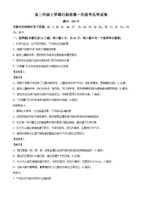 江西省宜春市丰城市第九中学2024-2025学年高三上学期第一次段考 化学试题（日新班）（解析版）