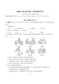 四川省成都市第七中学2024-2025学年高一上学期第一次月考 化学试题